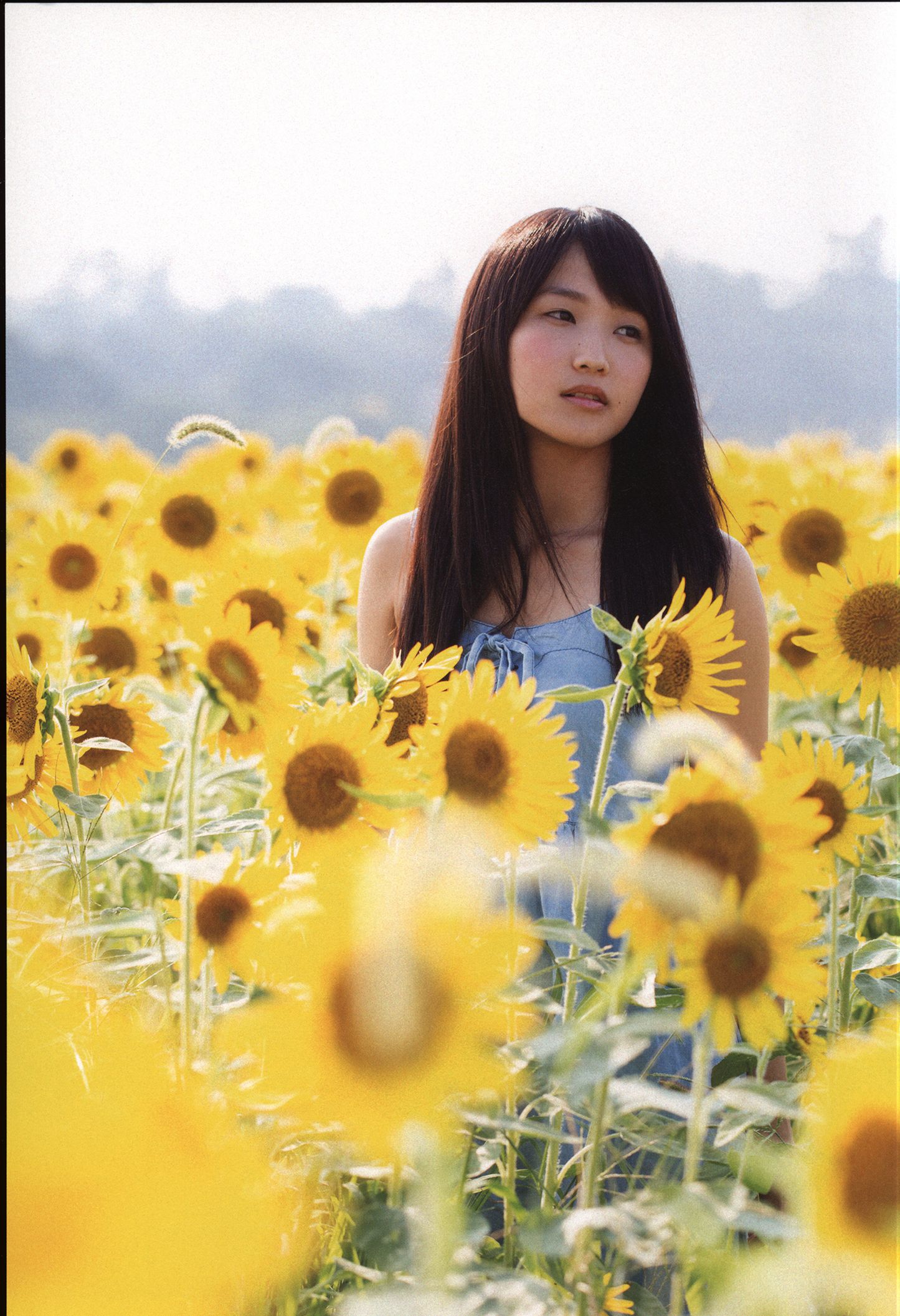 Riho Sayashi 鞘師里保《太陽》