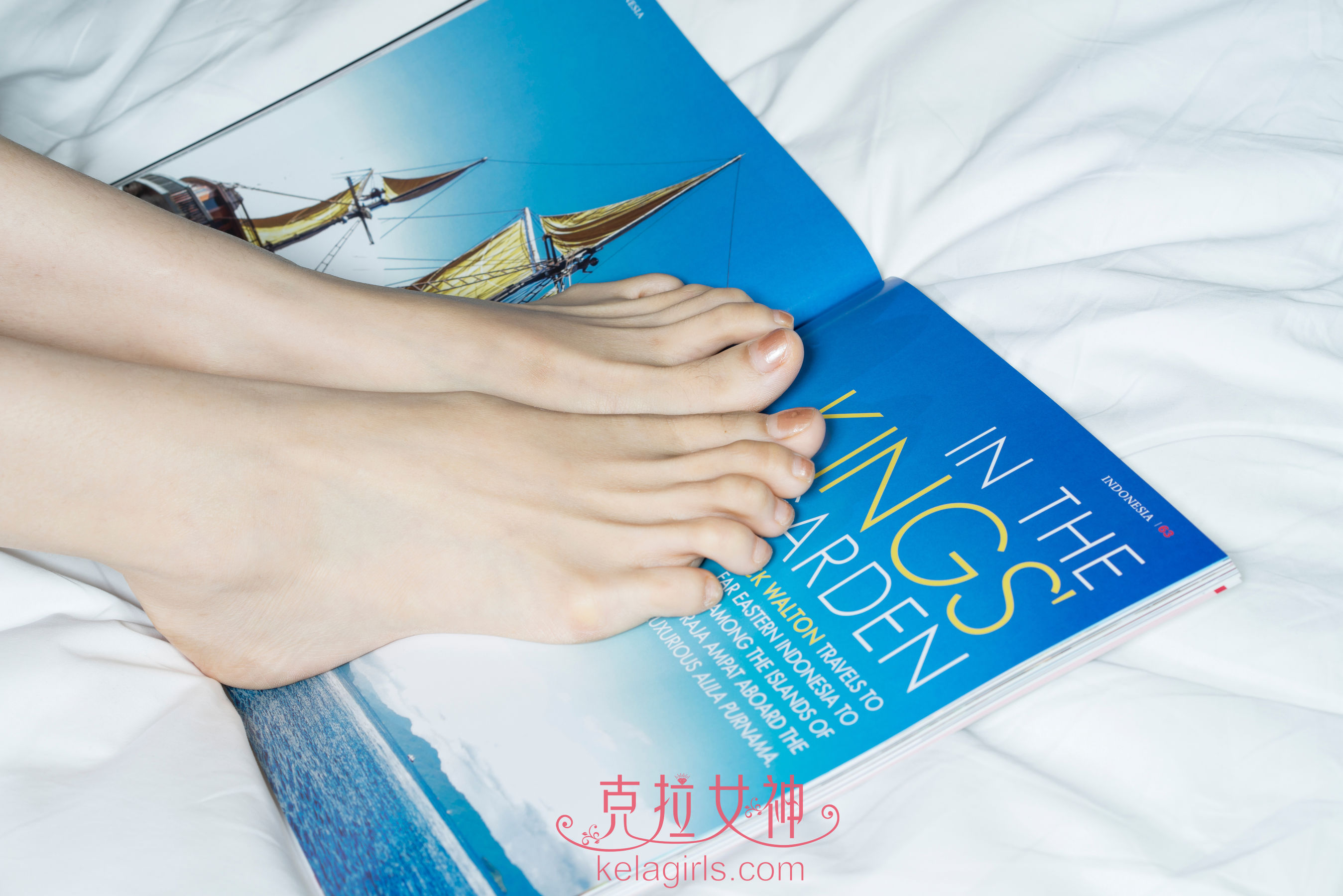 若菲《踏浪飞仙》 [克拉女神] 