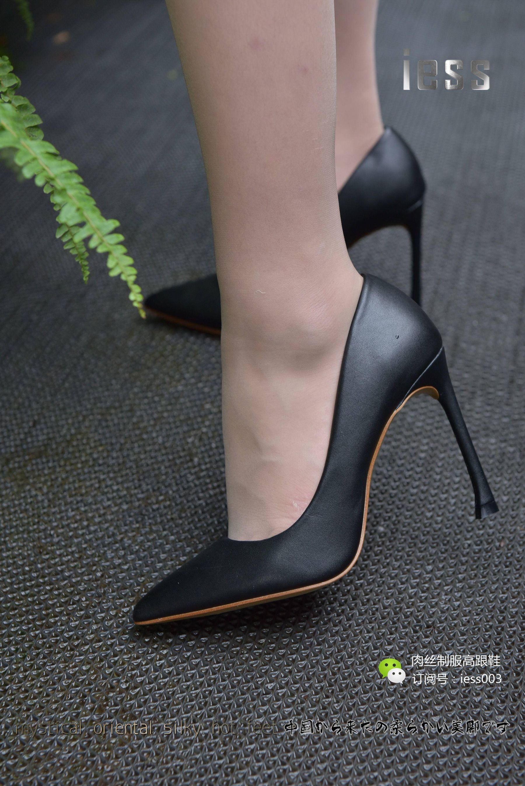 丝享家007 疏影 《午后咖啡馆小憩》[IESS异思趣向] 