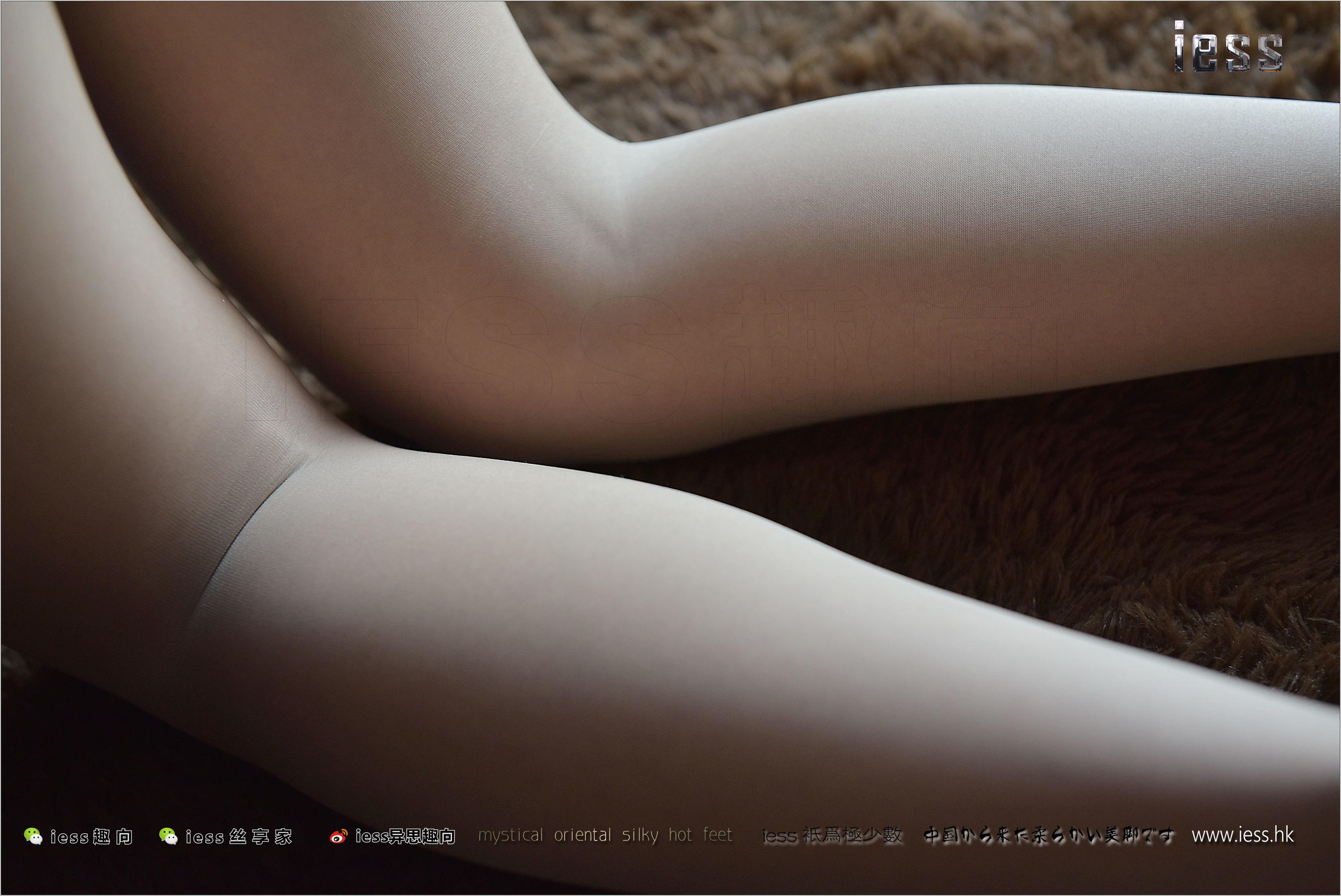 宛平《舅舅家的女仆2》[异思趣向IESS] 丝足便当203 