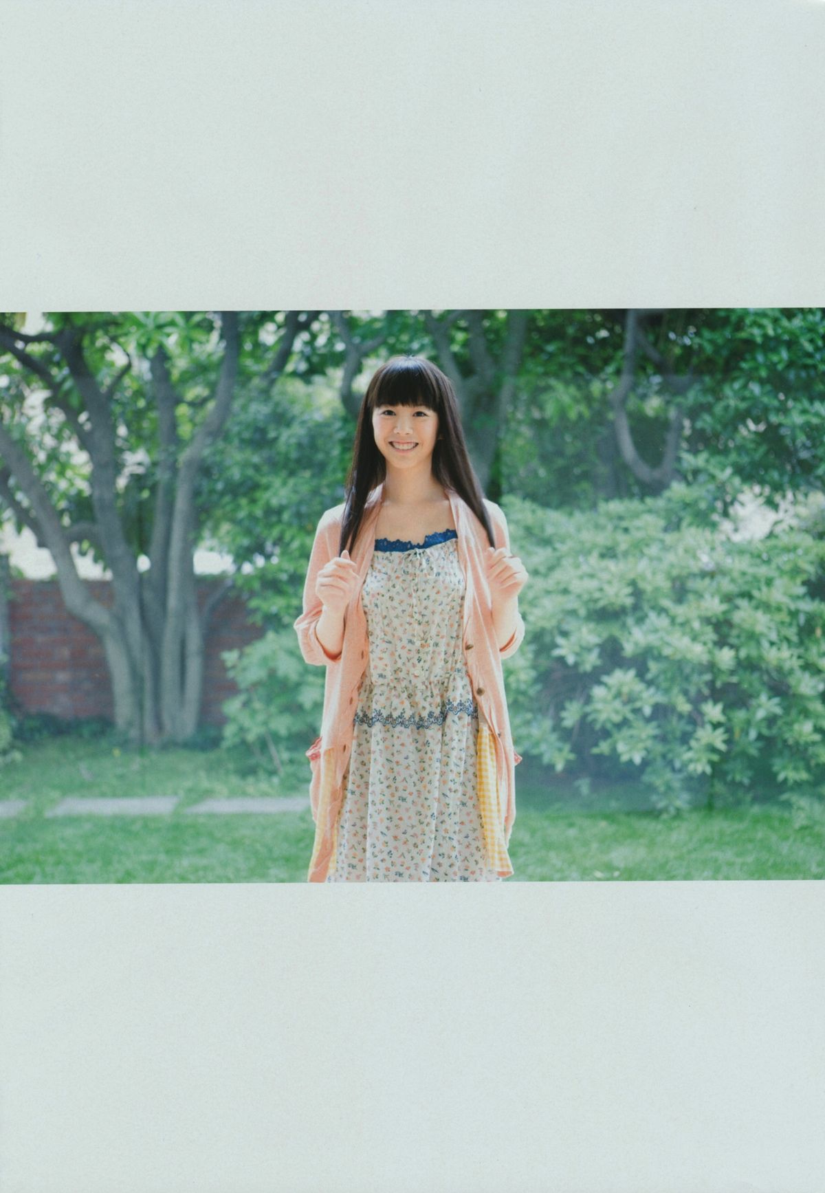 夏帆 帆風だより