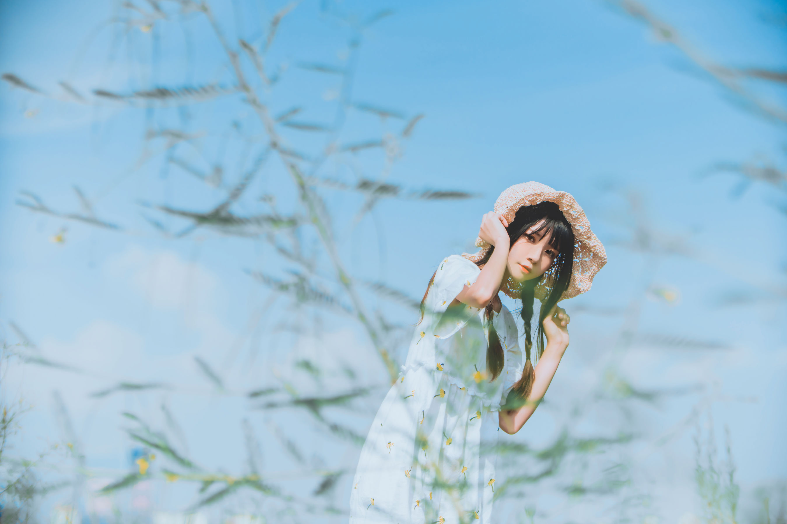 桜桃喵《田野》》