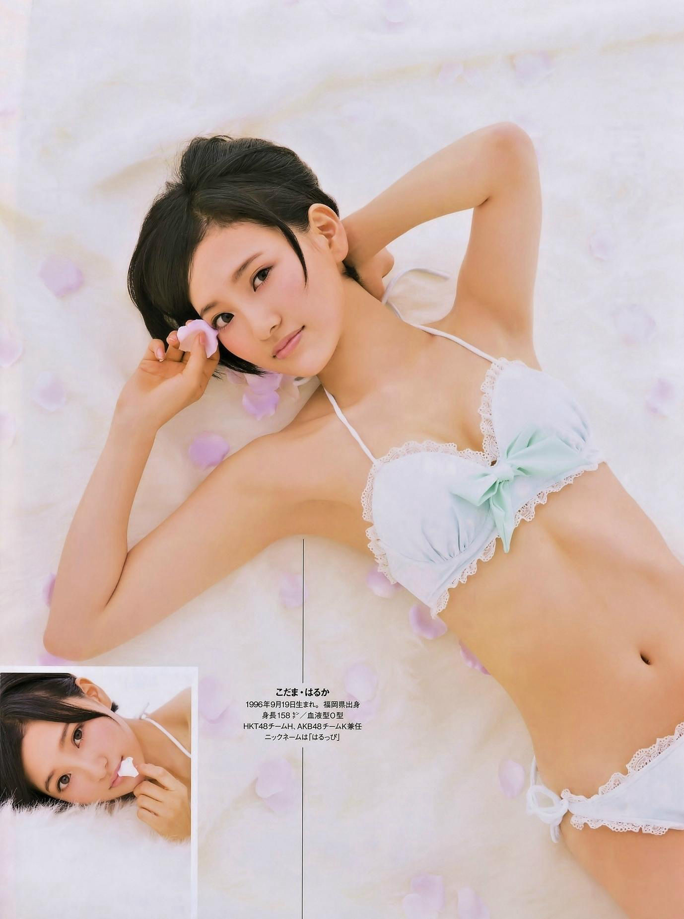 [ENTAME(エンタメ)] 2014年11月号 柏木由纪 高城亜樹 倉持明日香