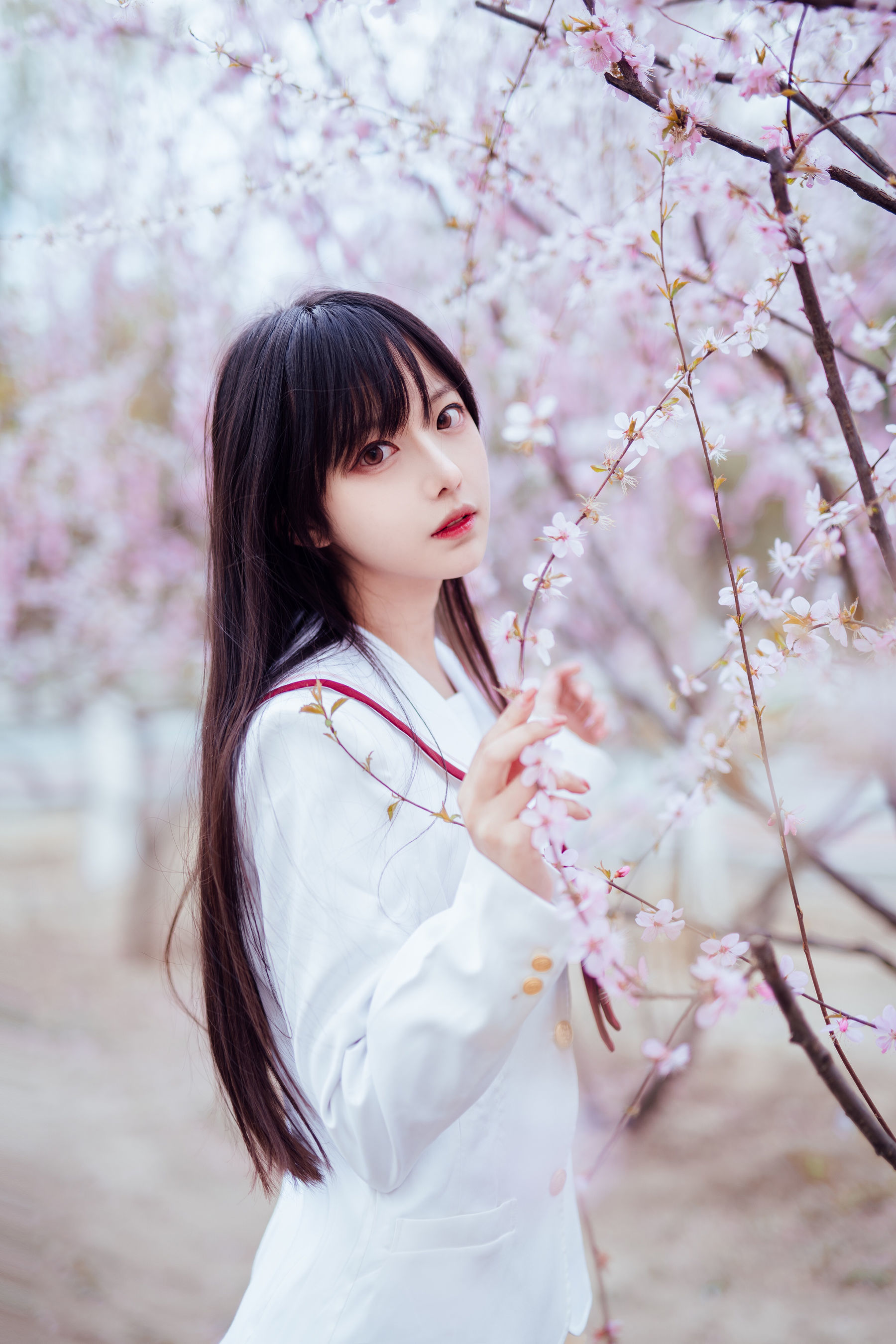 [萝莉COS] Shika小鹿鹿 - 樱花