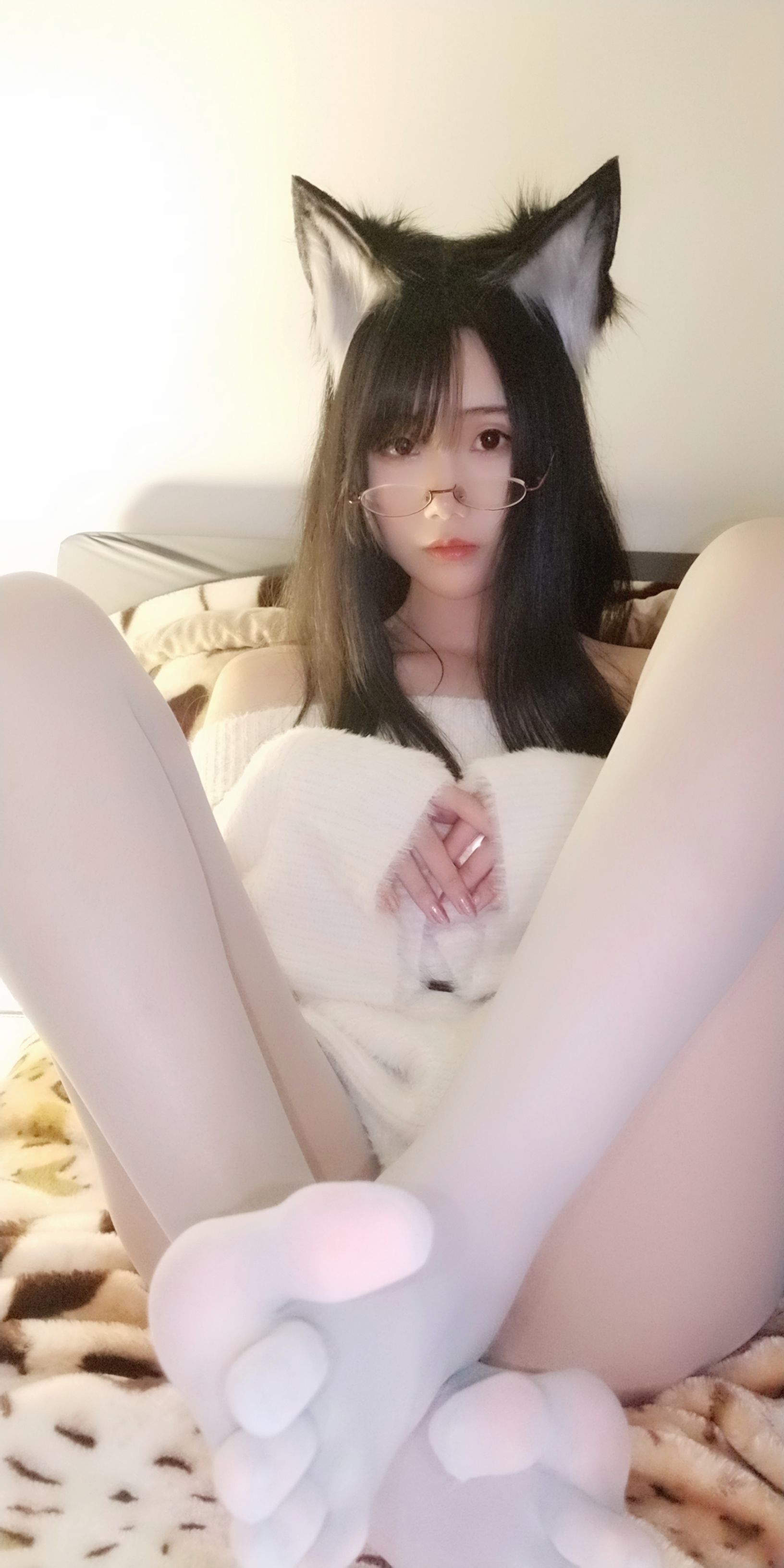 动漫博主曉美媽 拆家二哈