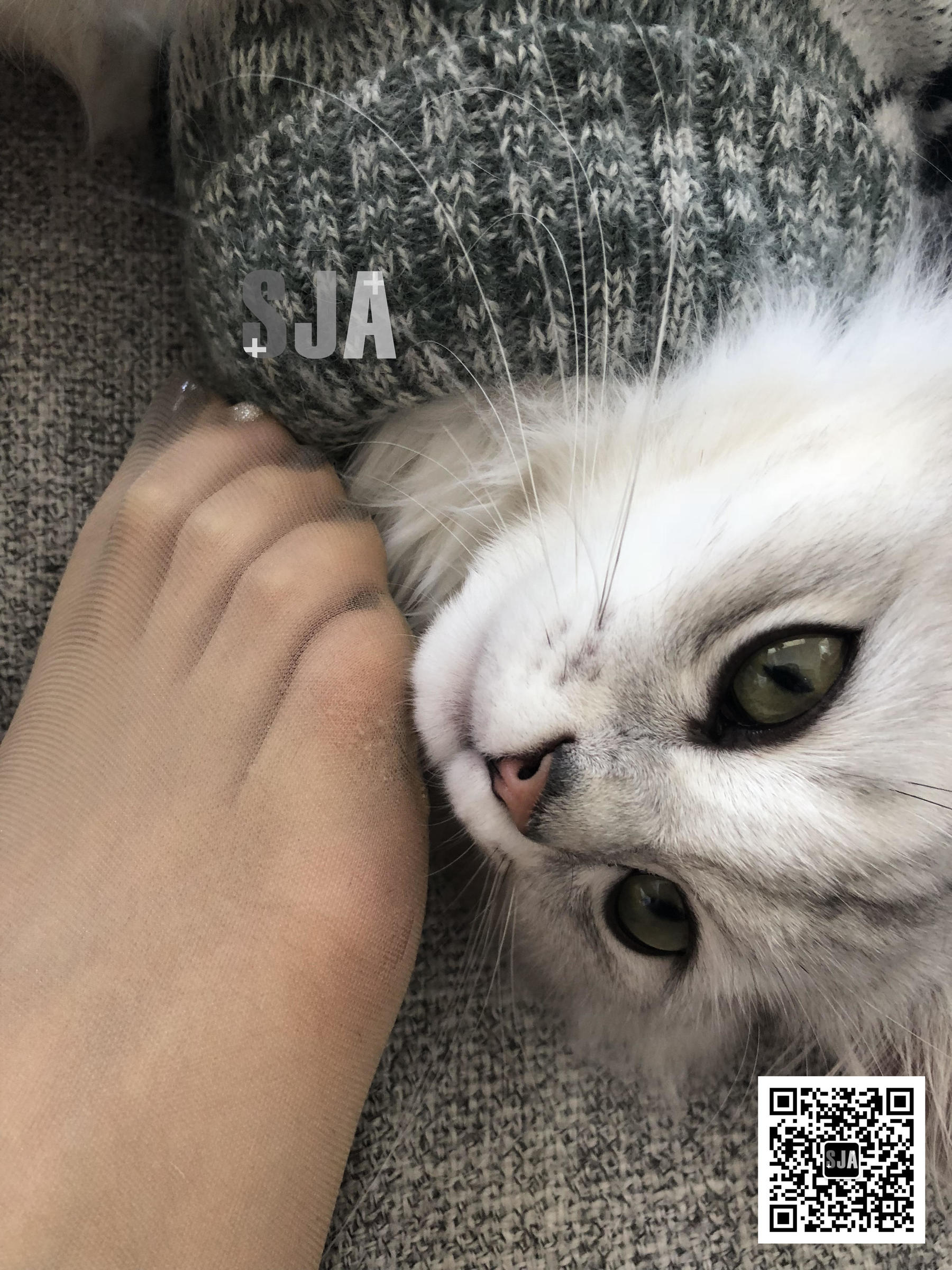 [佳爷SJA] Vol.013 佳爷 闺蜜视角《喵》