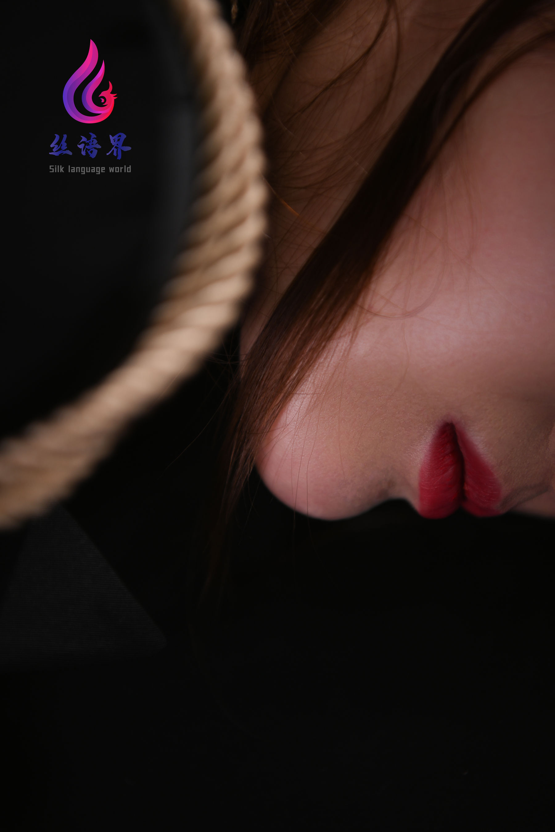 [丽柜Ligui] 网络丽人 Model 淼淼