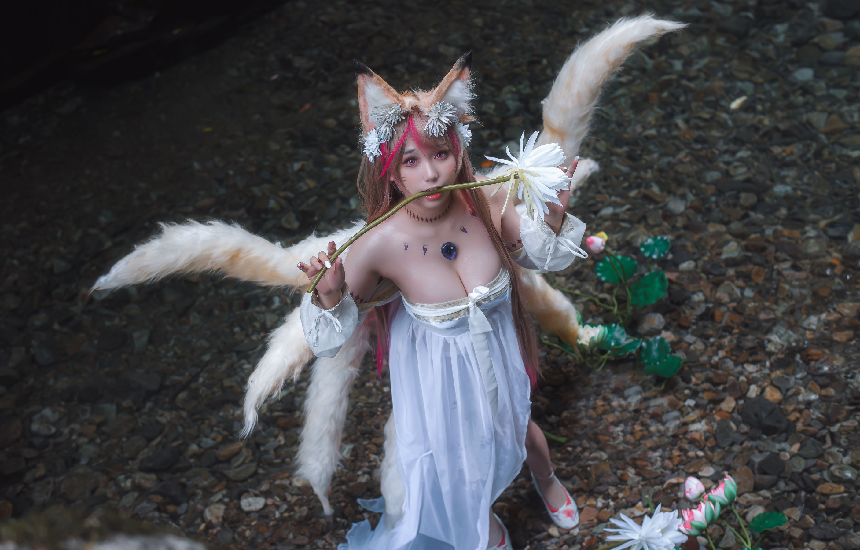 [福利COS] 一北亦北 - 天命之子 玉藻前原皮
