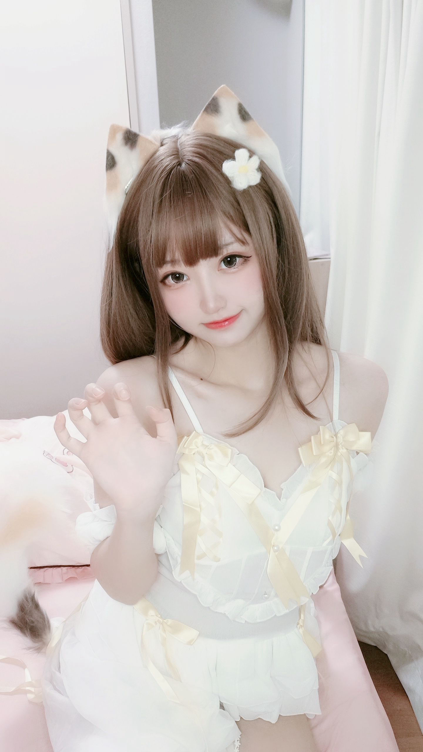 [福利COS] 千阳(ちよ) - 三花猫