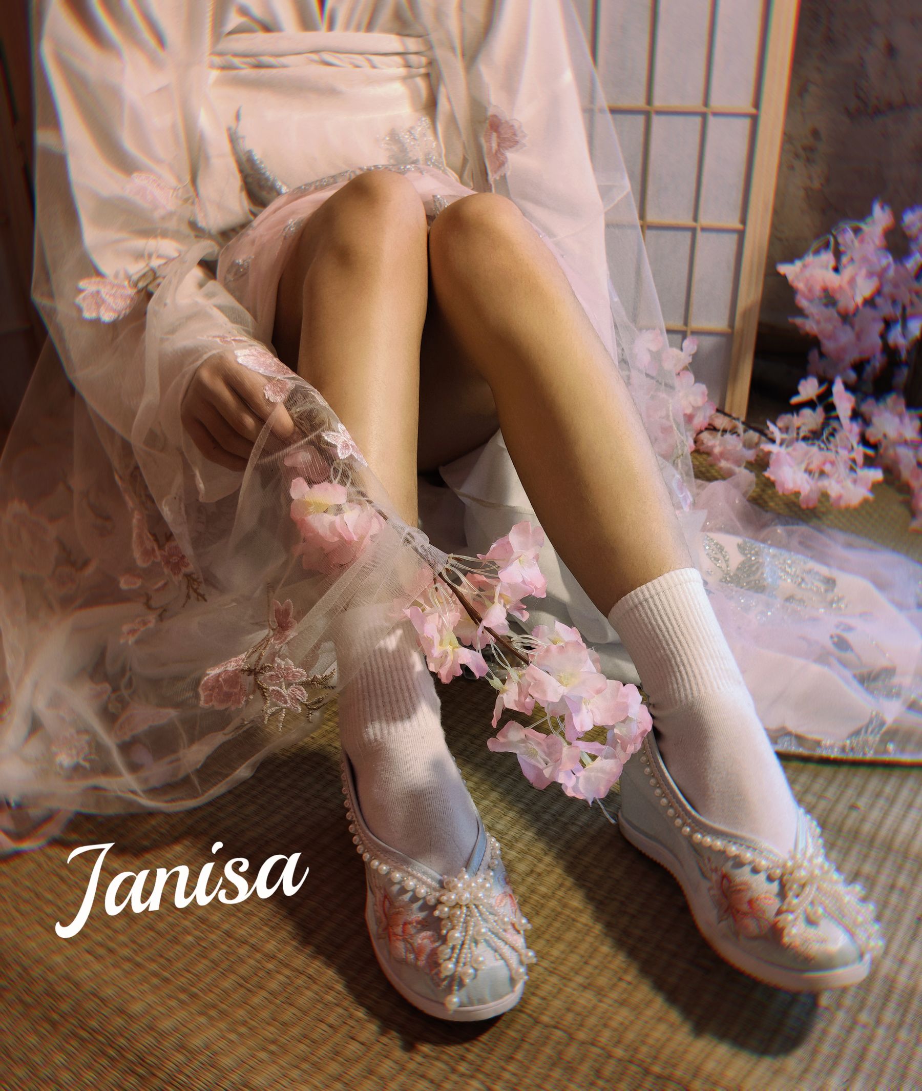 Janisa - 朝花向晚 