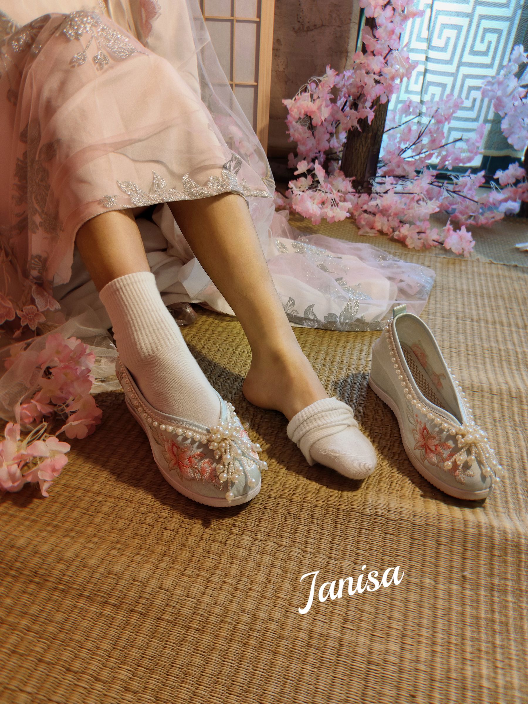 Janisa - 朝花向晚 