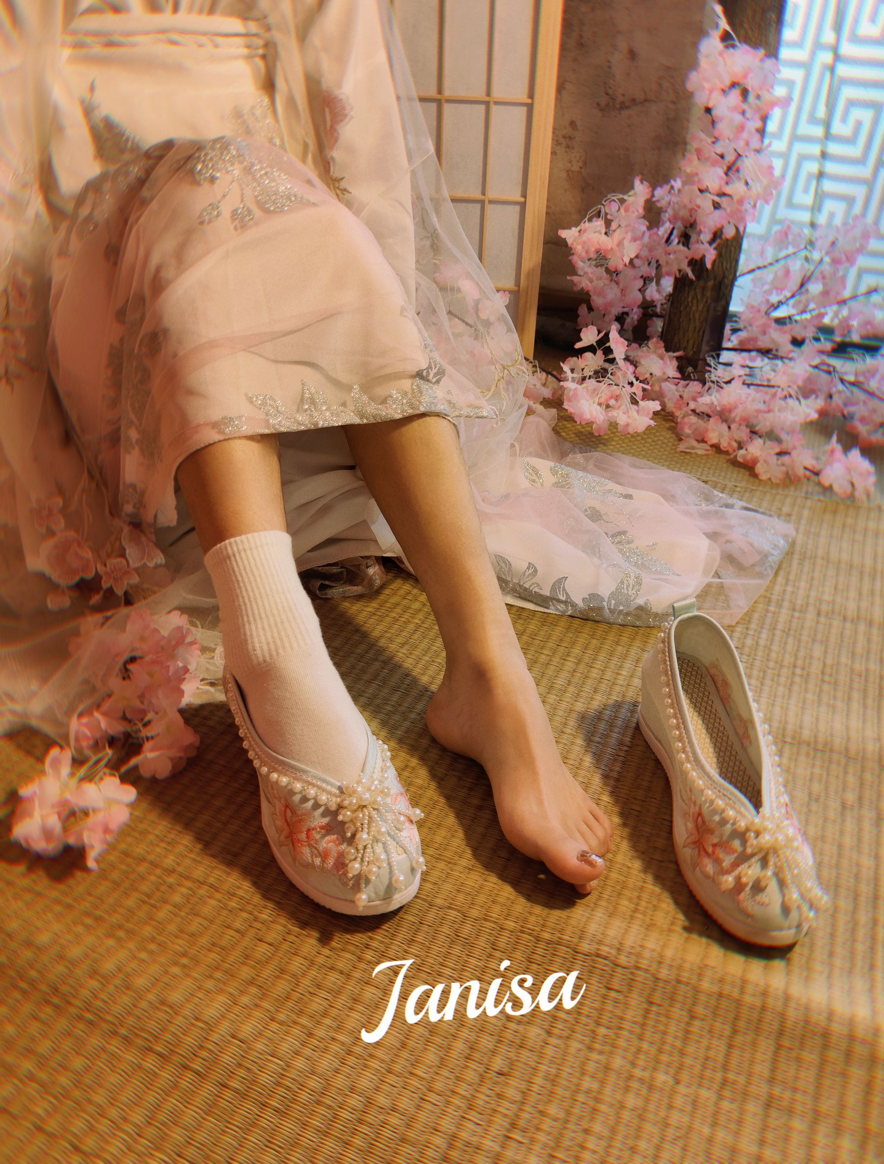 Janisa - 朝花向晚 