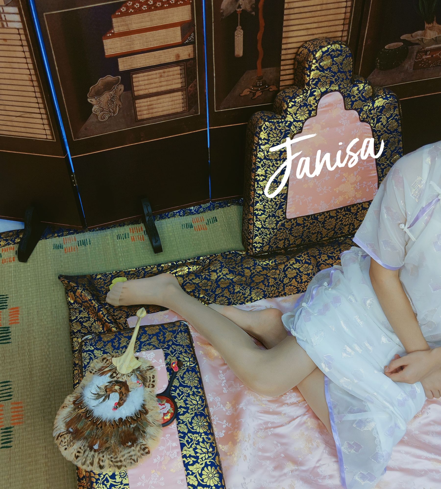 Janisa - 念念不忘 