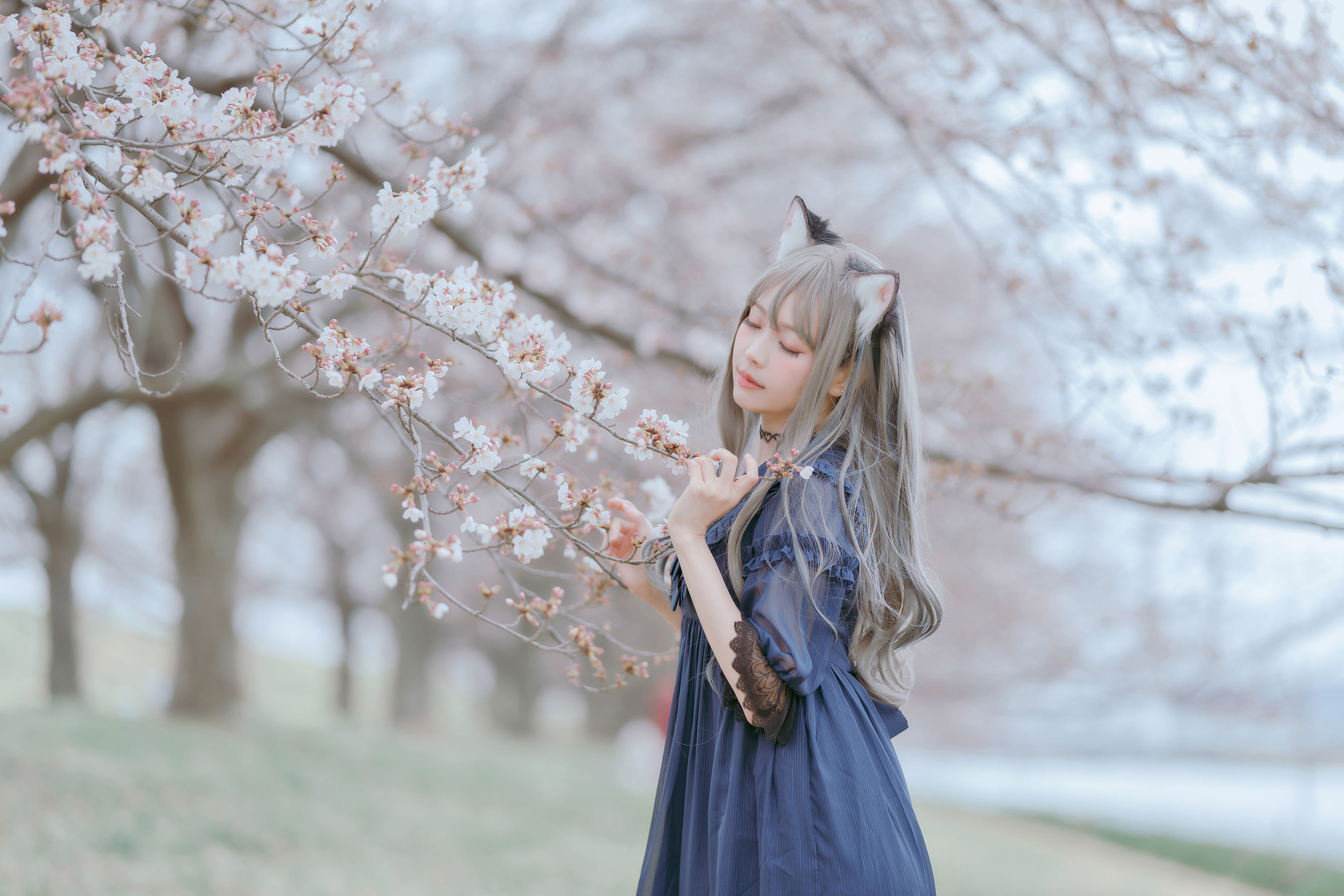 Ely_eee(ElyEE子) - Sakura