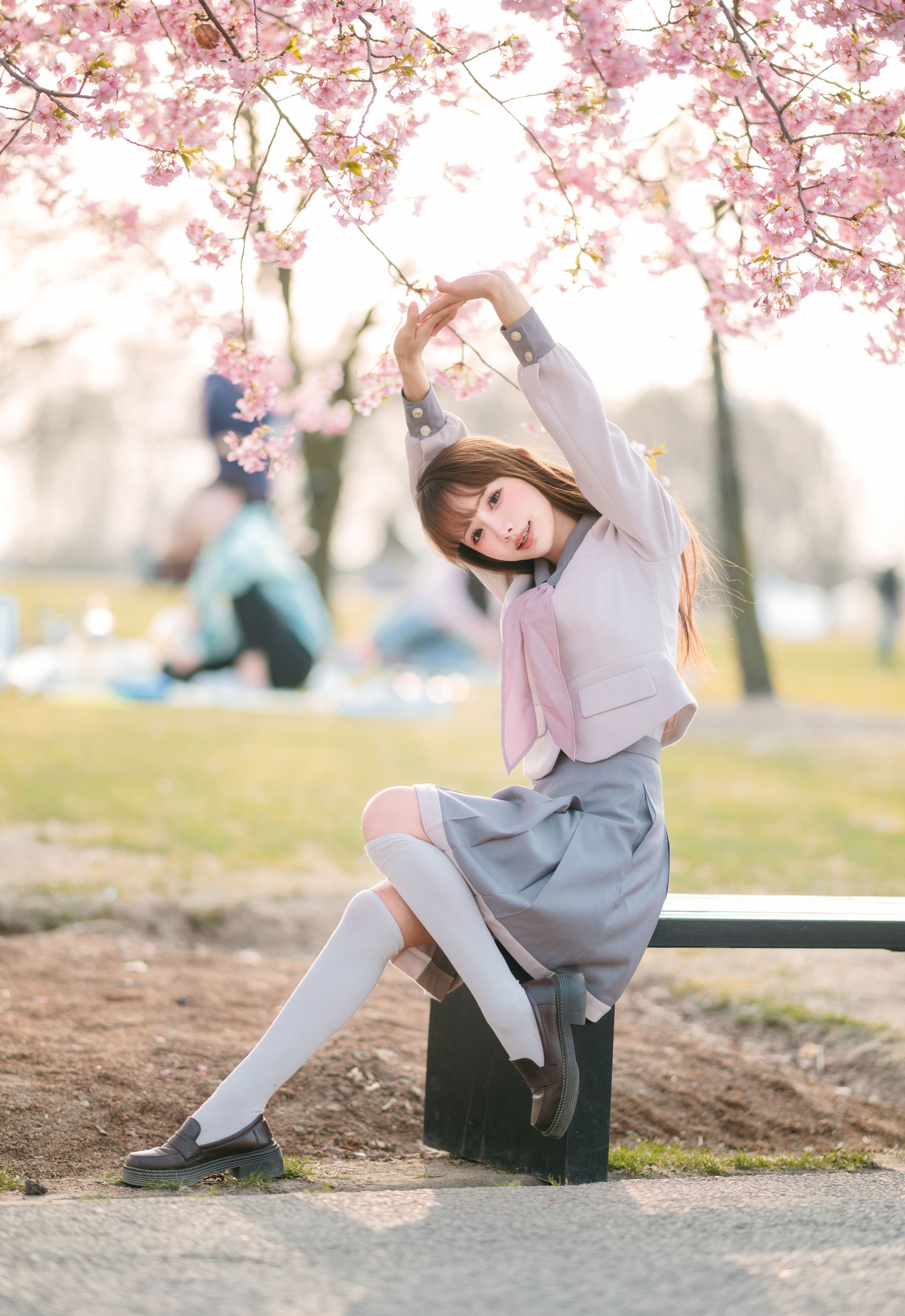 紫氯氯 - 樱花下的JK少女