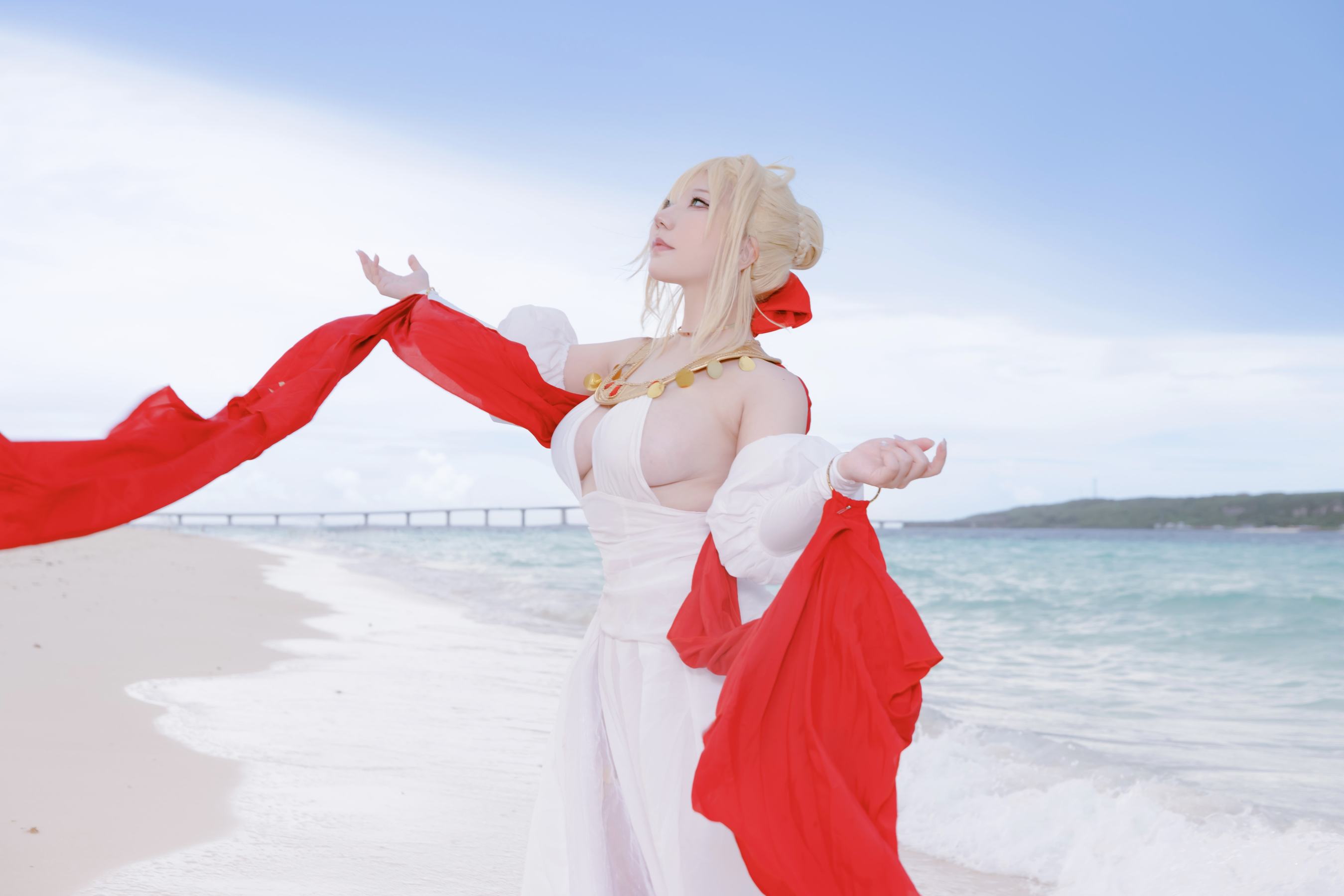 [Cosplay] [Shooting Star's (SAKU サク)] - Nero Collection 3 (FGO) - 3