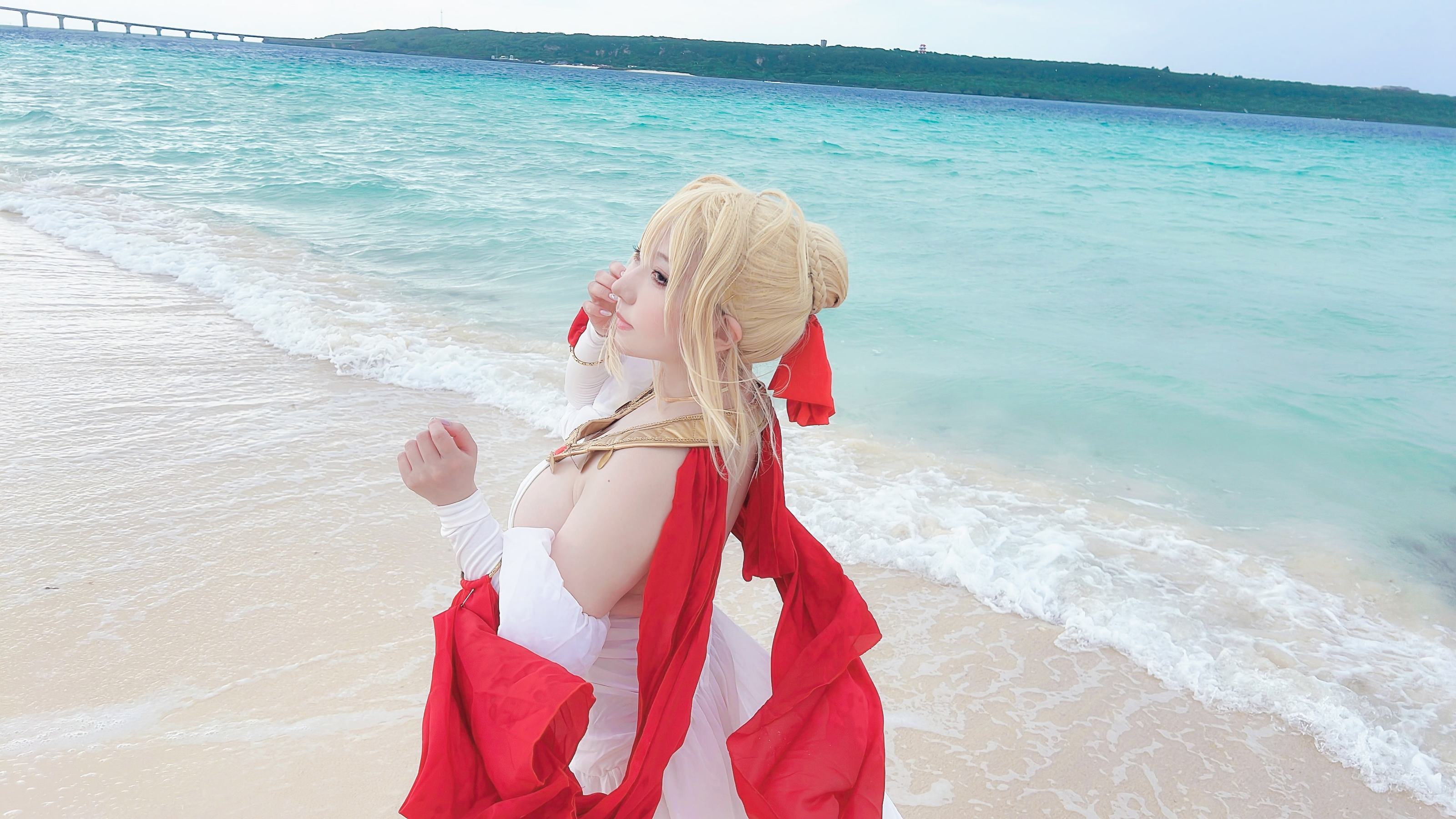 [Cosplay] [Shooting Star's (SAKU サク)] - Nero Collection 3 (FGO) - 3