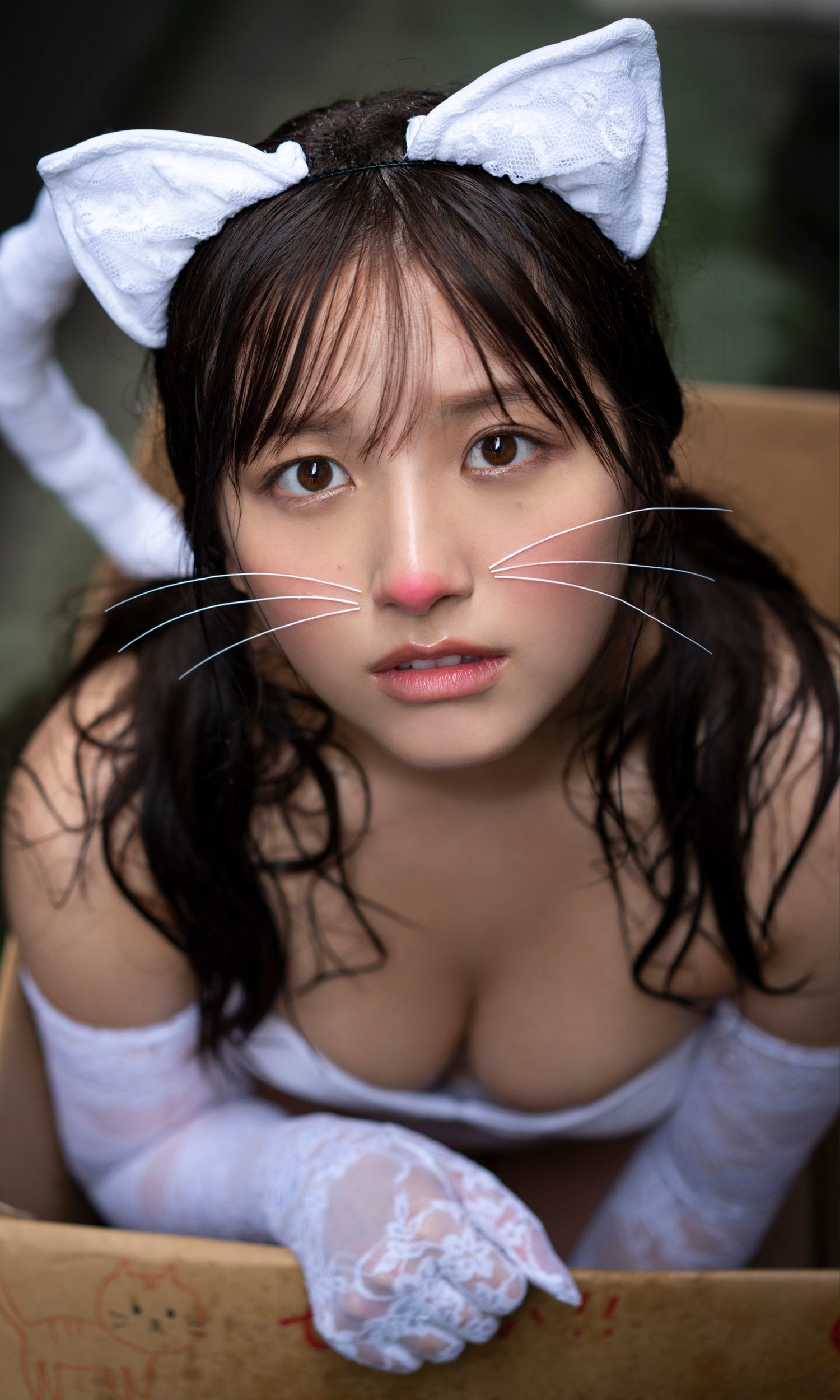 大和田南那「下町キャッツアイ」