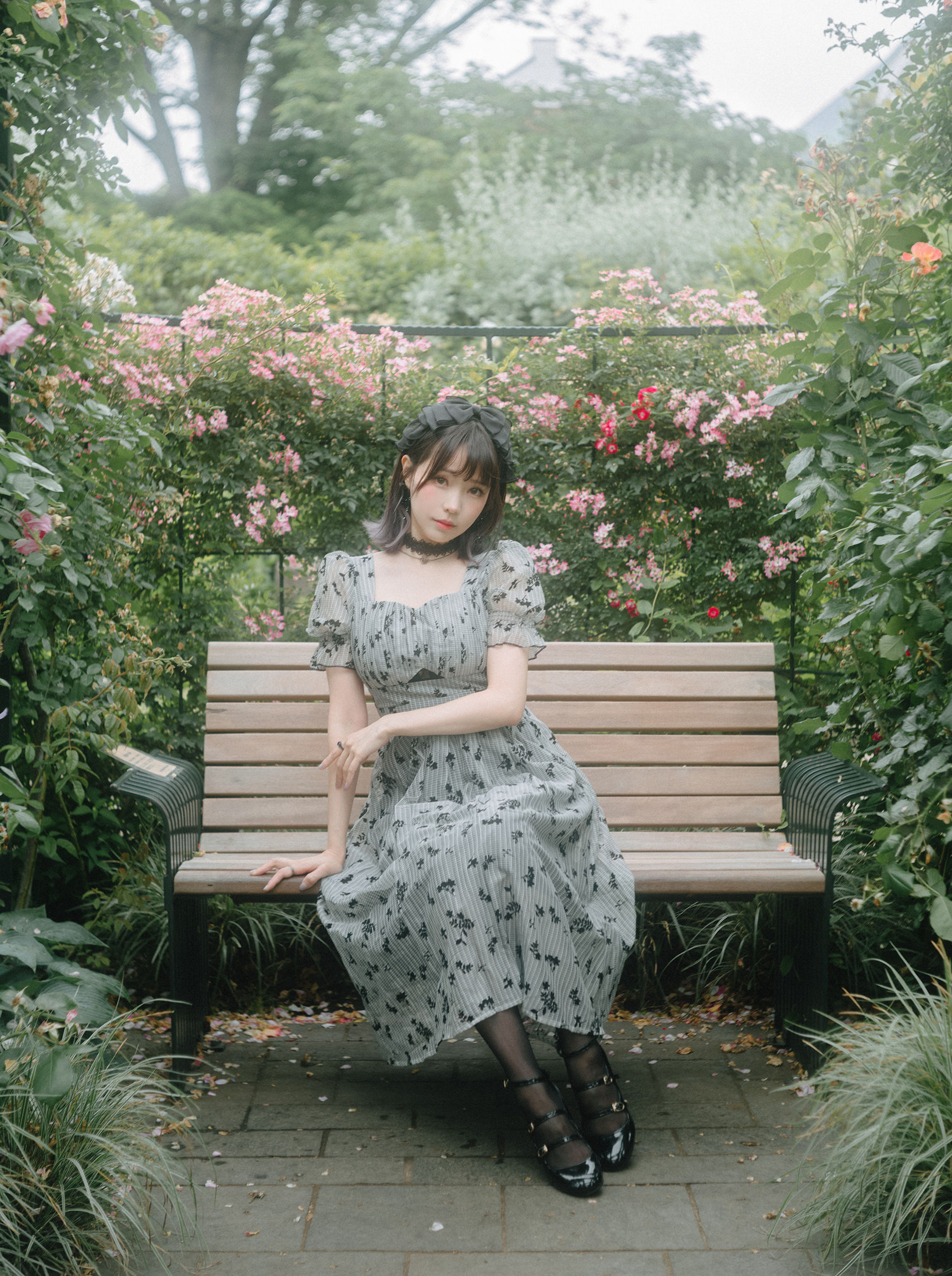 Ely_eee(ElyEE子) - Roses After the Rain 雨後玫瑰