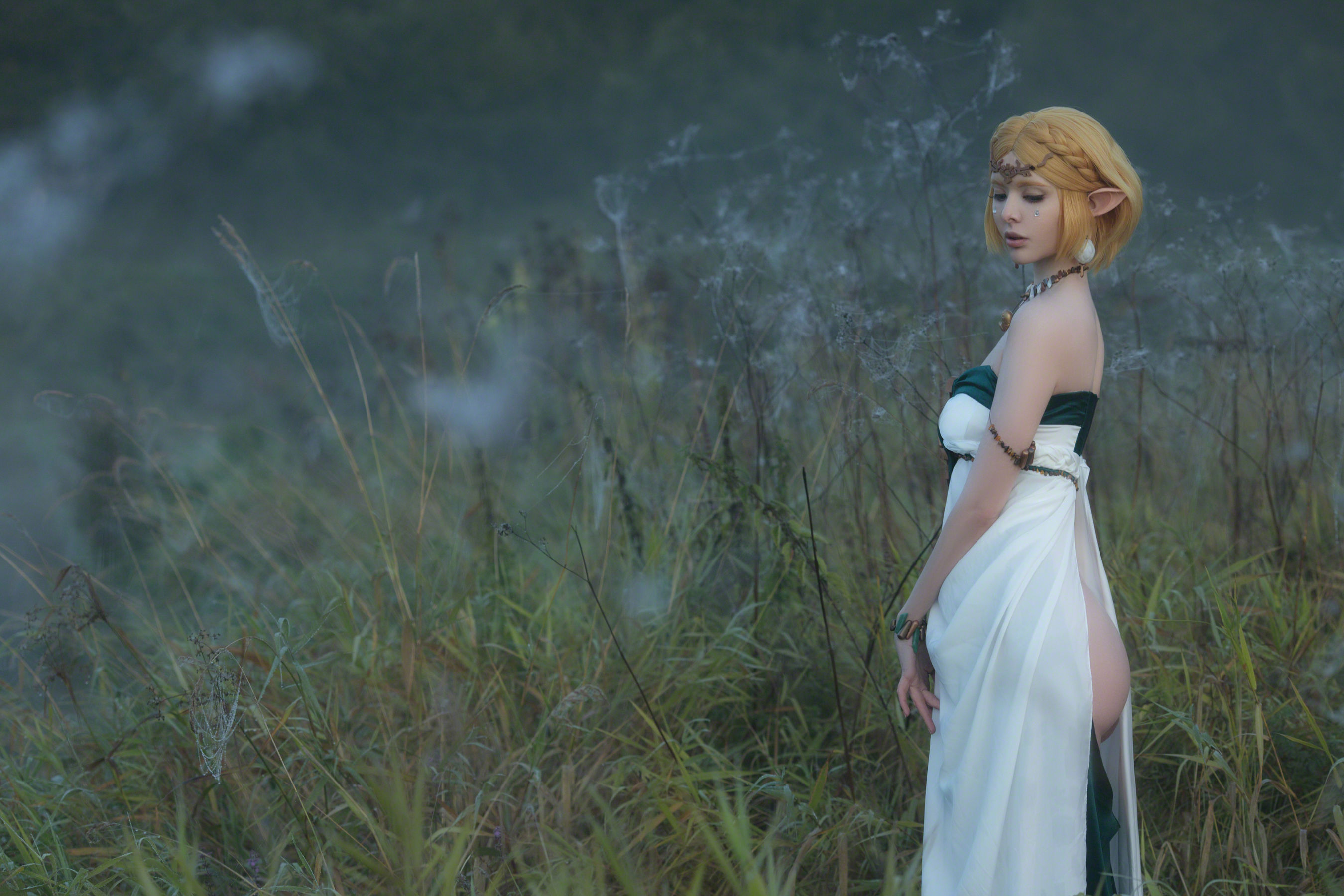 Vinnegal - Zelda
