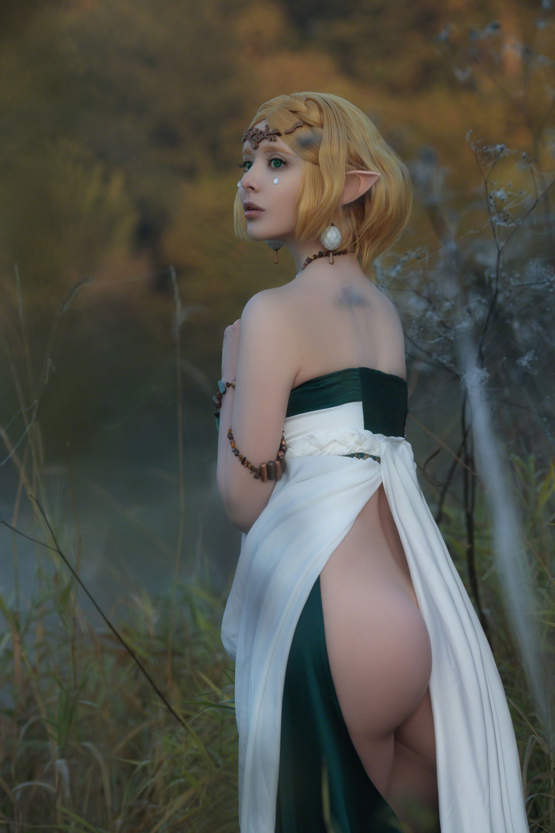 Vinnegal - Zelda