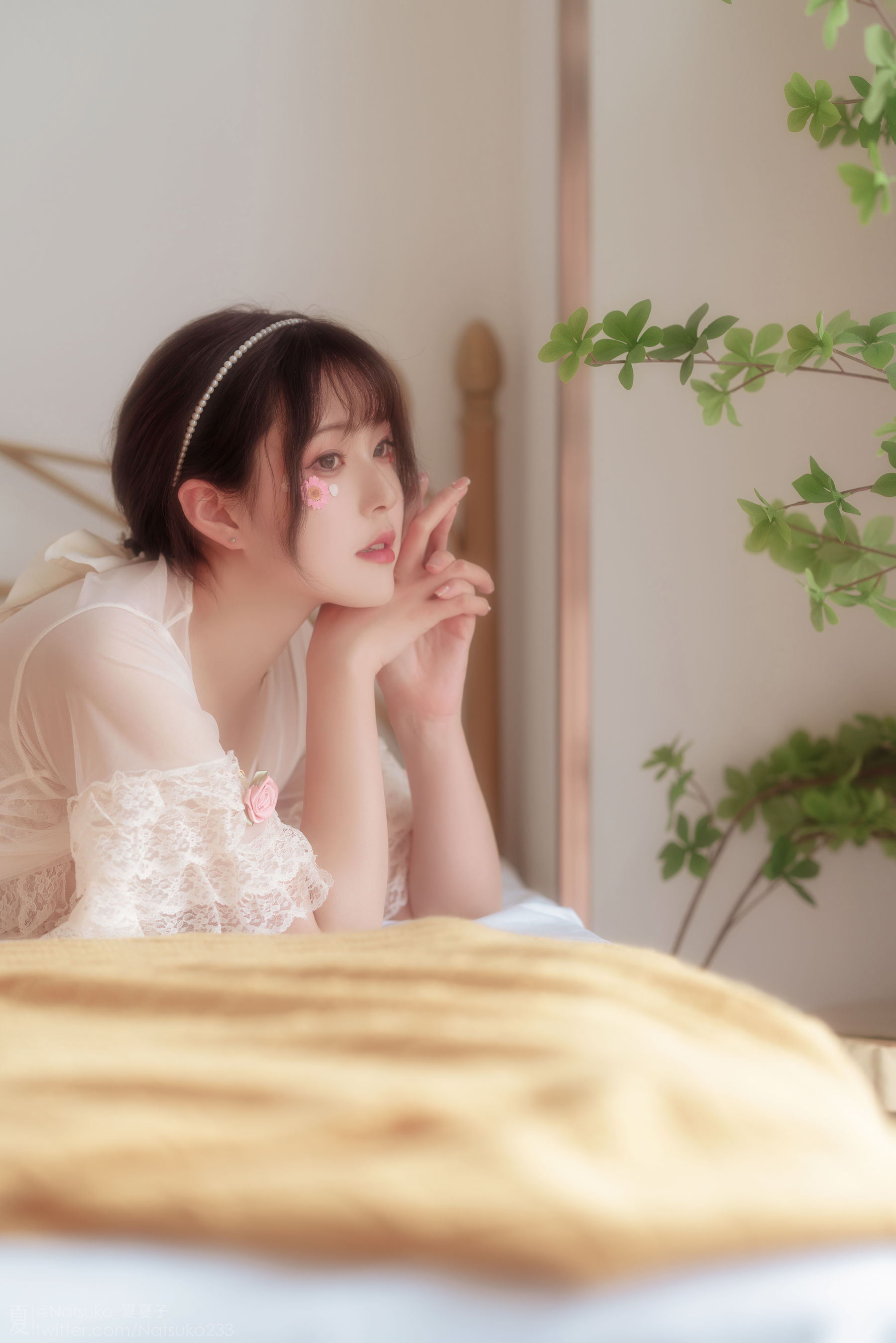 Natsuko夏夏子 - 雏菊