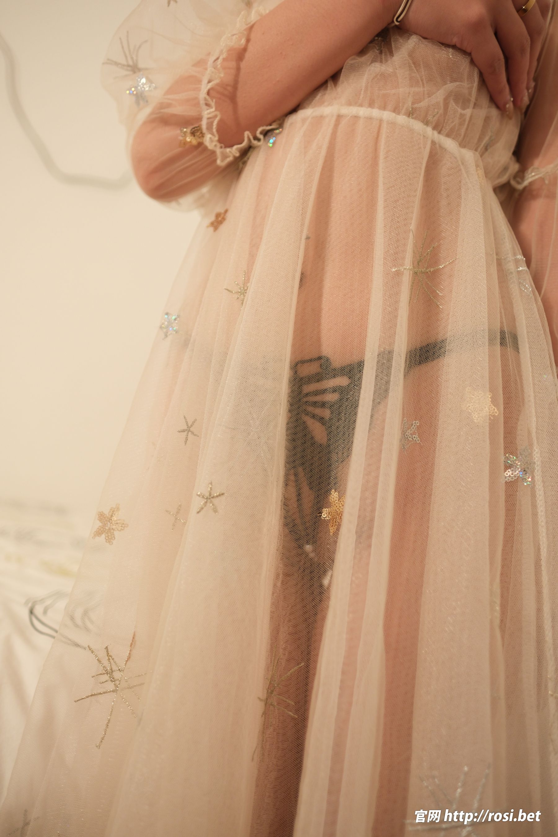 [ROSI写真] 2024.11.28 NO.4742