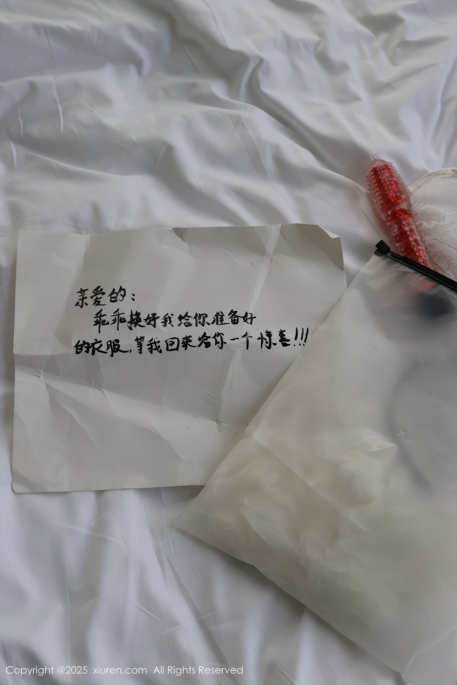 [秀人XiuRen] 2025.01.03 No.9708 小薯条nienie